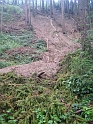 bild (29)